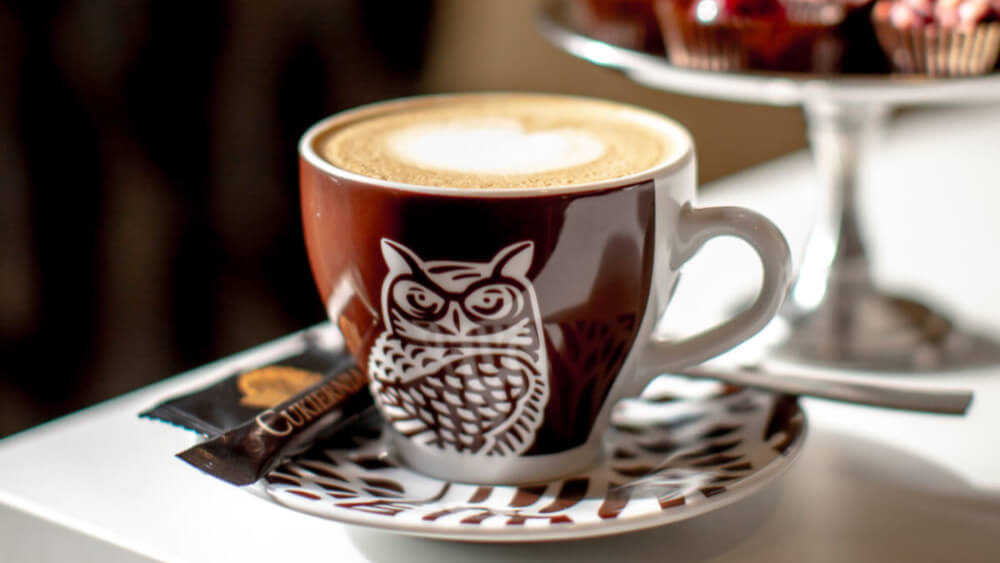 Wpływ mleka na smak kawy: jak dobrać idealne proporcje i rodzaj mleka?